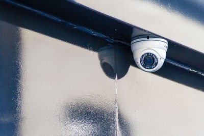 copyright 2015: Georg Berg